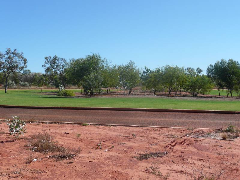 WHATEVER YOUR IMAGINATION ALLOWS Picture 2