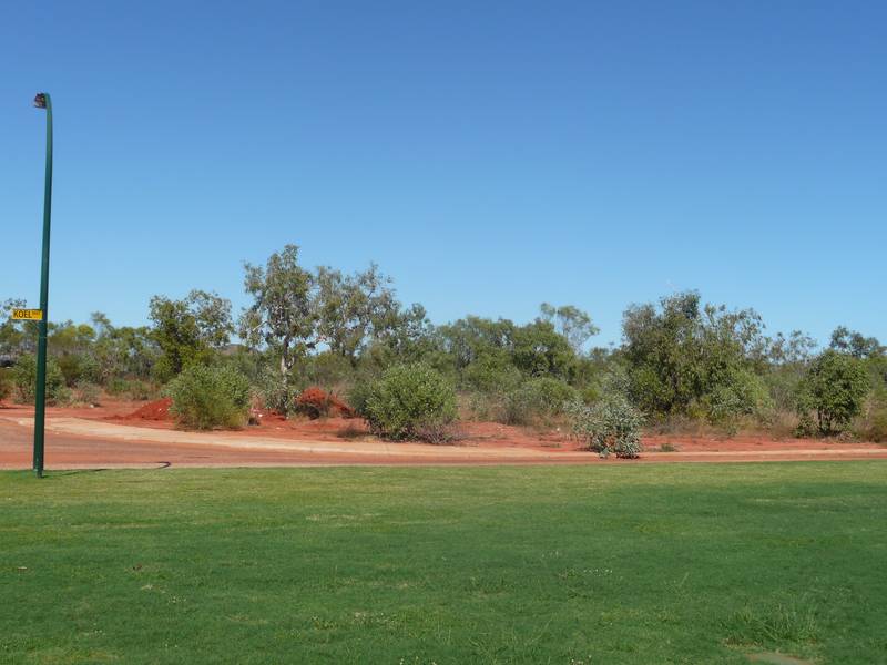 WHATEVER YOUR IMAGINATION ALLOWS Picture 3