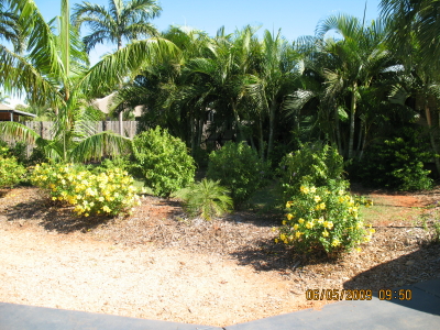 Near New Plus Gardener Included Picture 3