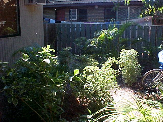 Very Spacious Duplex in Old Broome Picture 3