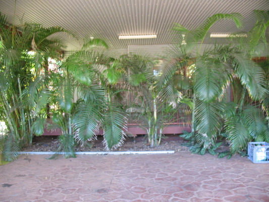 Well Appointed Home in Sunset Rise Picture 3