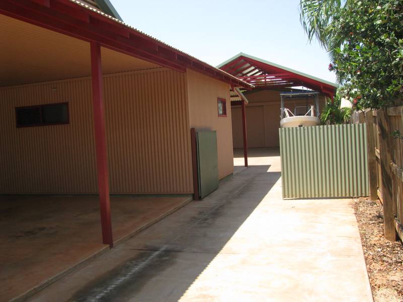 Be quick for Bronzewing Picture 2