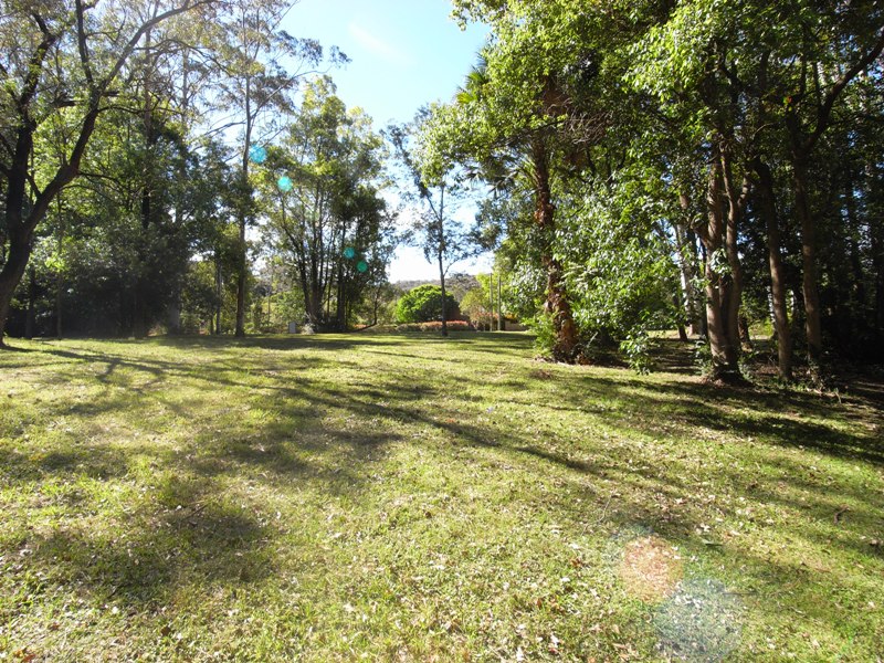 Beautiful Rural Acreage for Dream Home Picture 3