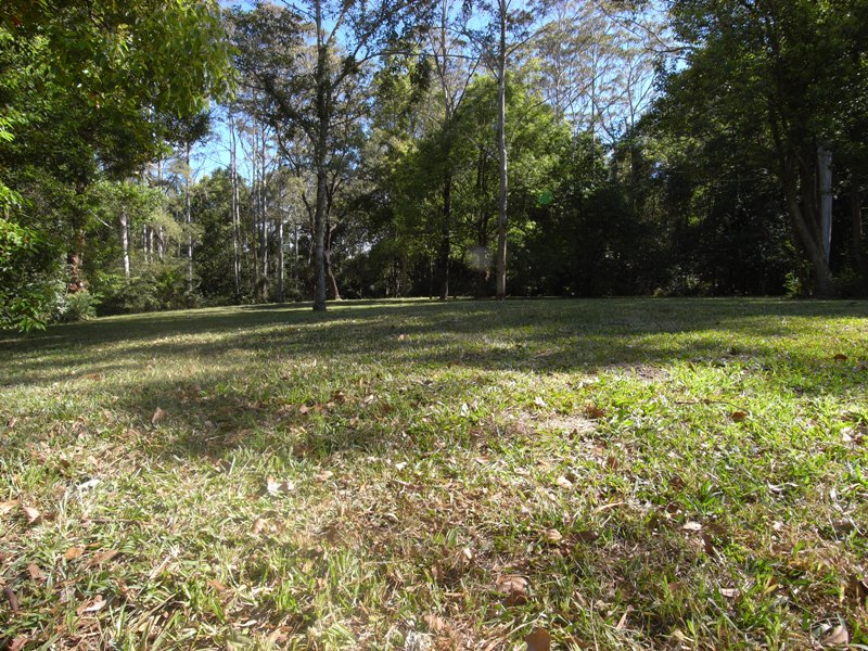 Beautiful Rural Acreage for Dream Home Picture 1