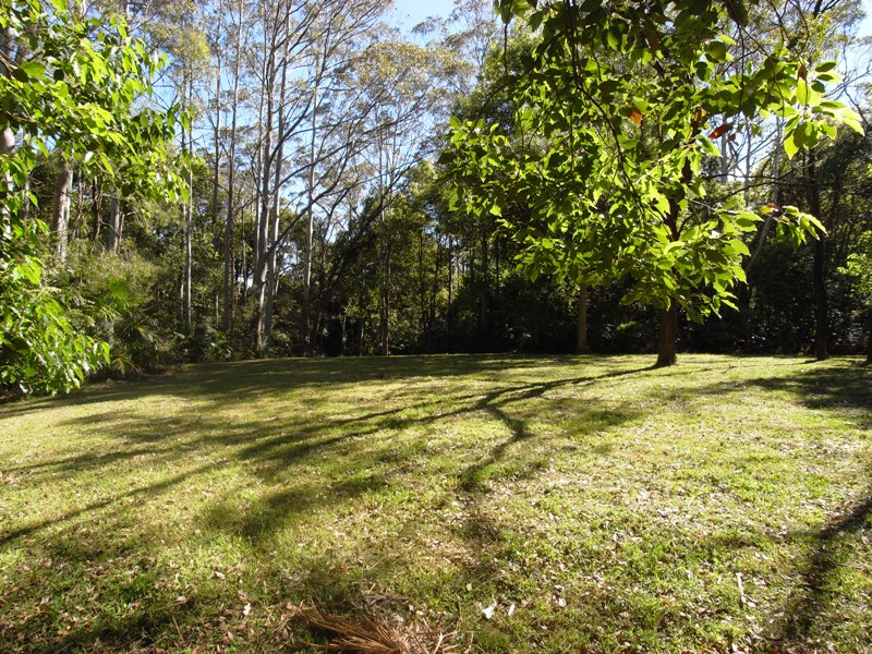 Beautiful Rural Acreage for Dream Home Picture 2