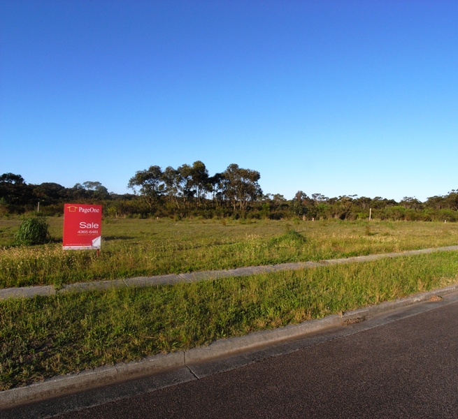 Level Birdie Beach Land Opportunity Picture 3