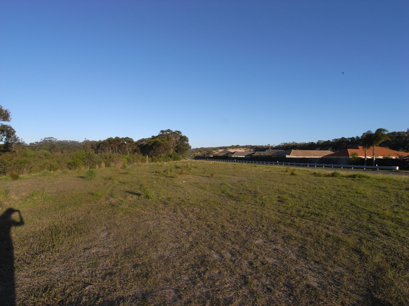 Massive Level Block of Land Birdie Beach Picture 3