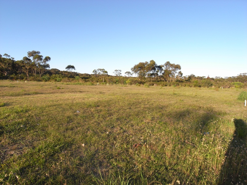 Massive Level Block of Land Birdie Beach Picture 1