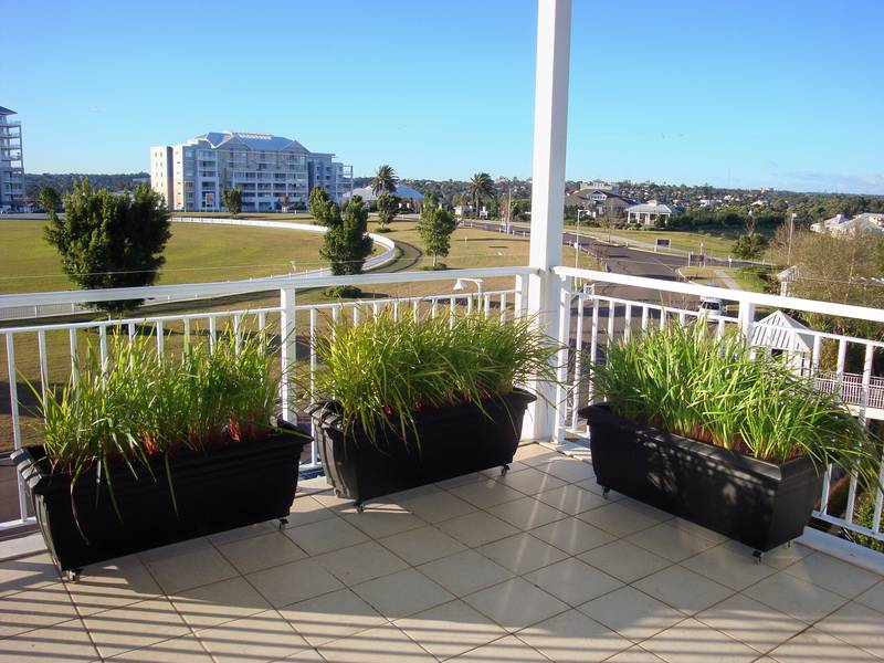 Epitome of Breakfast Point Style Picture 3