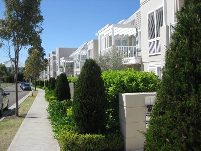 Contemporary Sunfilled Apartment Picture Contemporary Sunfilled Apartment Picture