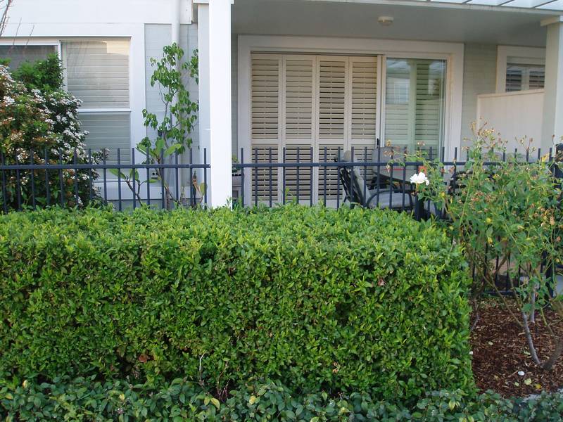 Ground floor apartment Picture 3