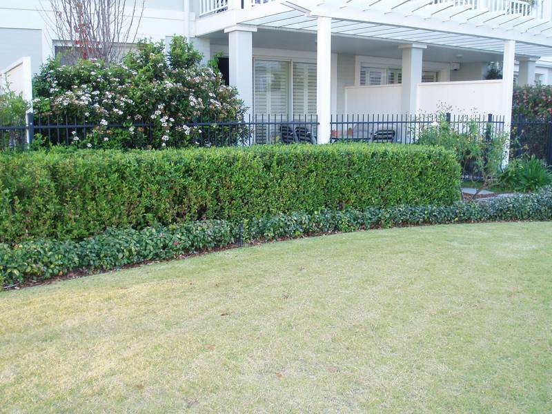 Ground floor apartment Picture 2