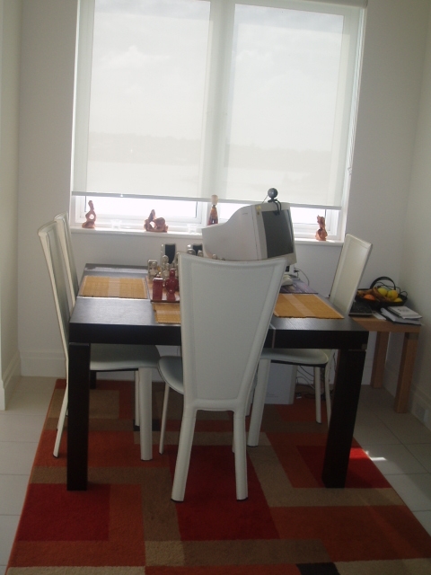 FABULOUS CORNER APARTMENT APARTMENT IN SAVANNAH, WALKING DISTANCE TO THE FERRY WHARF Picture 3