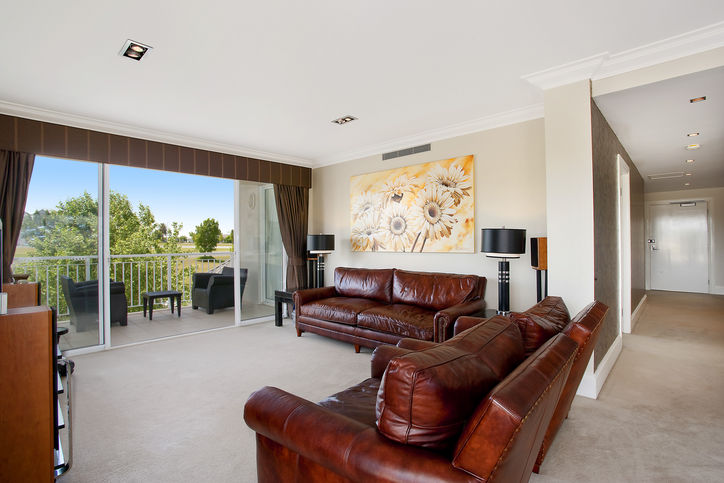 Light filled living with serene parkland vistas Picture 3