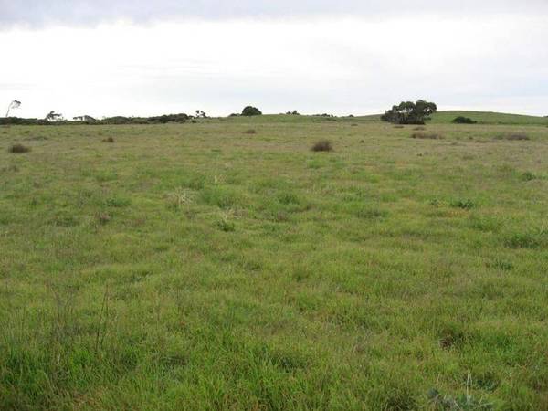 Recreational Block with excellent house sites with views Picture 1