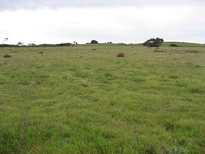 Recreational Block with excellent house sites with views Picture