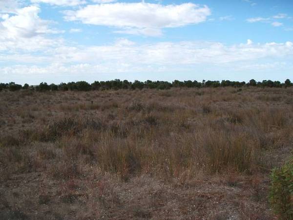 Lot 6, Section 437 Kingston Road, Robe Picture 1