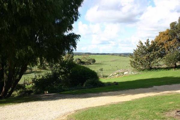 'Fayrefield' Picture 2