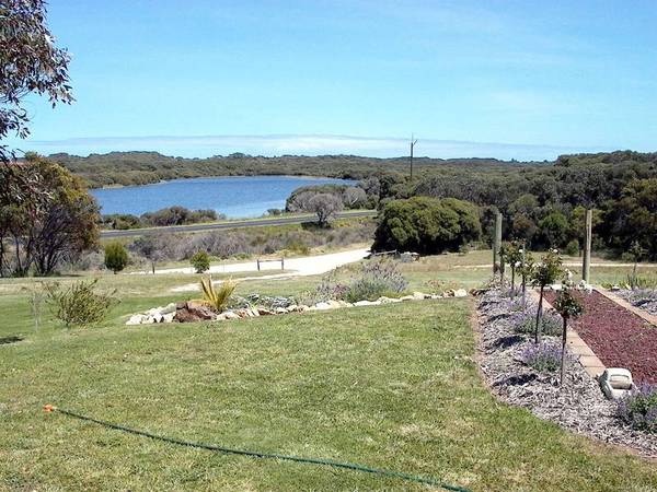 'What A View' Picture 2