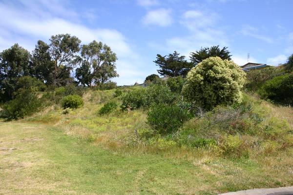 Elevated allotment Picture 2