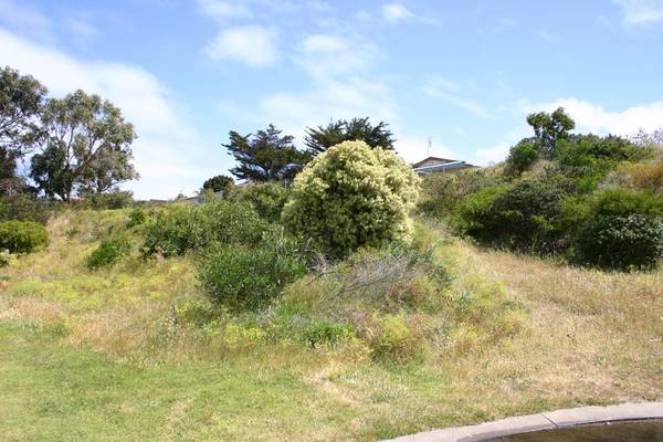 Elevated allotment Picture 1