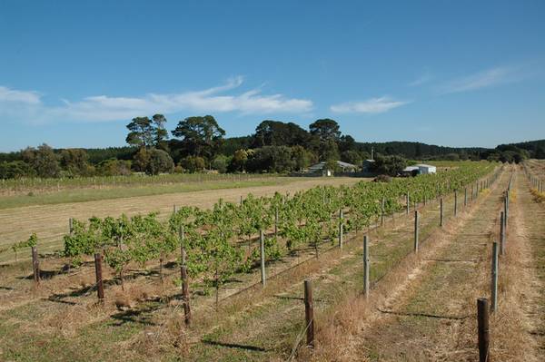 Lifestyle Opportunity! Picture 3