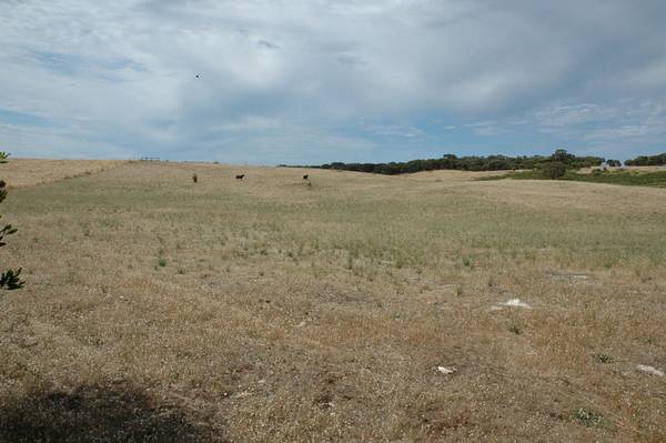 Looking To Escape? Picture 2