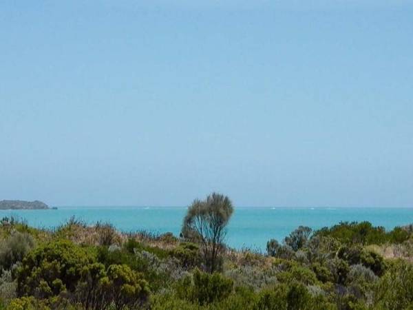 Magic Views Picture 1