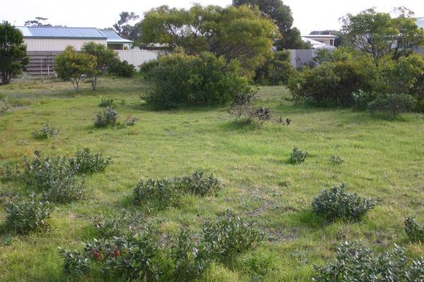 Long Beach Picture 2