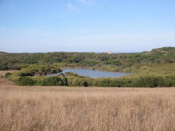 Robe Ocean and Lake Views Picture 3