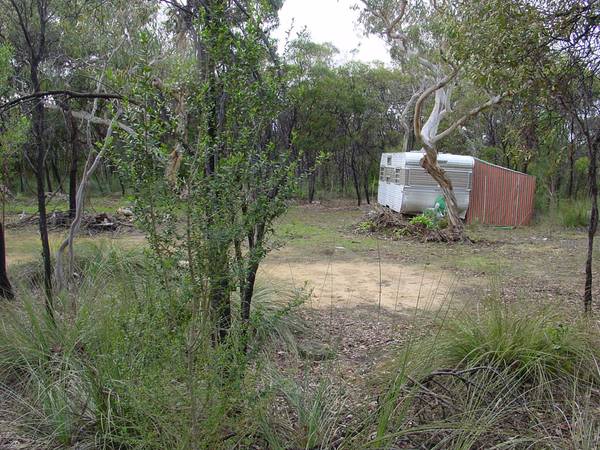 Pristine Wilderness Picture 2