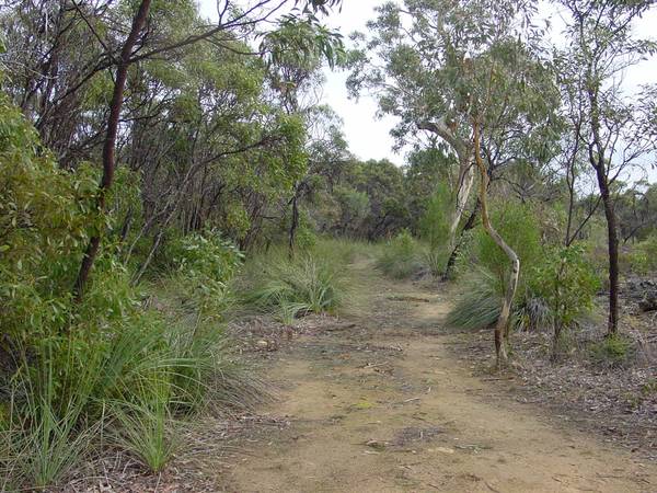 Pristine Wilderness Picture 3