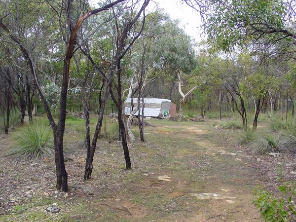 Pristine Wilderness Picture 1