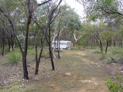 Pristine Wilderness Picture