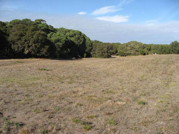 Back to Nature, Surfing and Fishing Picture 1