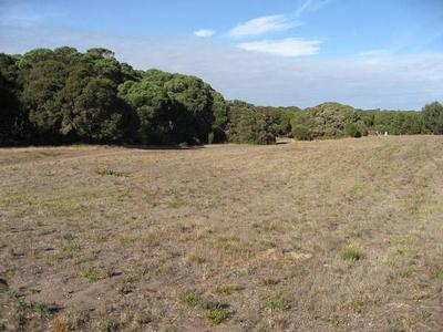 Back to Nature, Surfing and Fishing Picture
