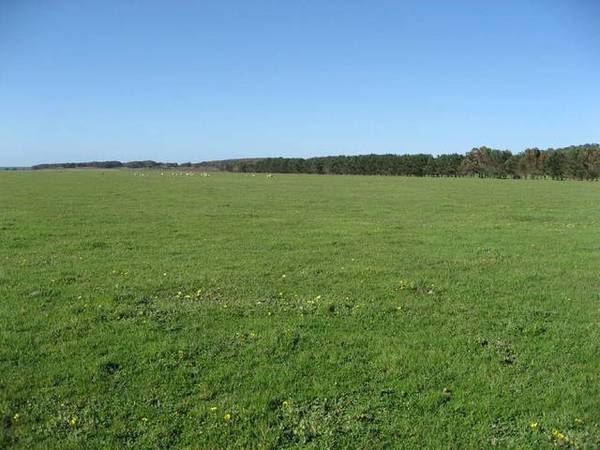 'Lakeview' - Lake Hawdon South Picture 2