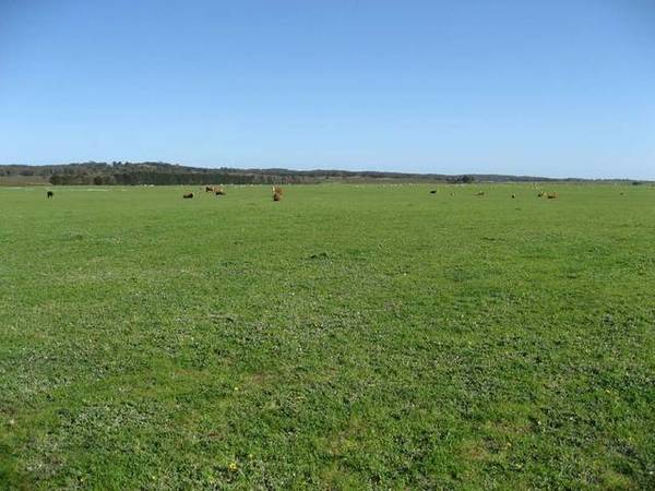 'Lakeview' - Lake Hawdon South Picture 3