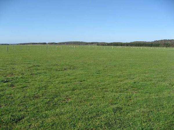 'Lakeview' - Lake Hawdon South Picture 1