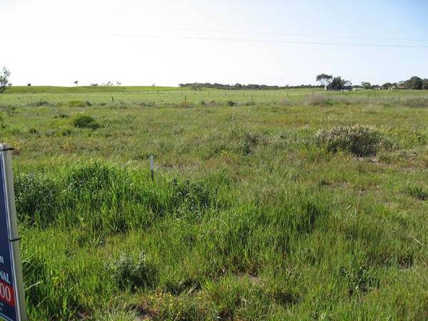 Collins Court Picture 1