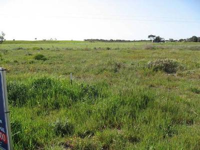 Collins Court Picture