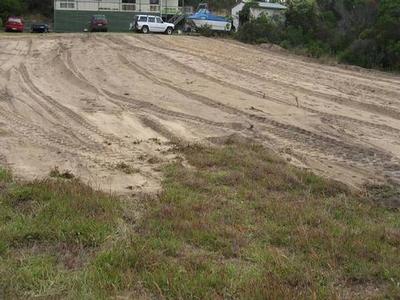 Fantastic Allotment Picture