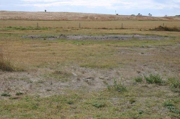 Excellent Value Picture 1