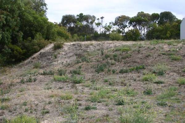 Elevated allotment Picture 2