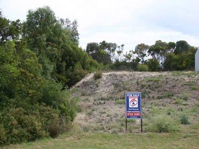 Elevated allotment Picture