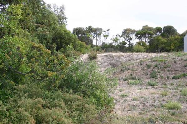 Elevated allotment Picture 3