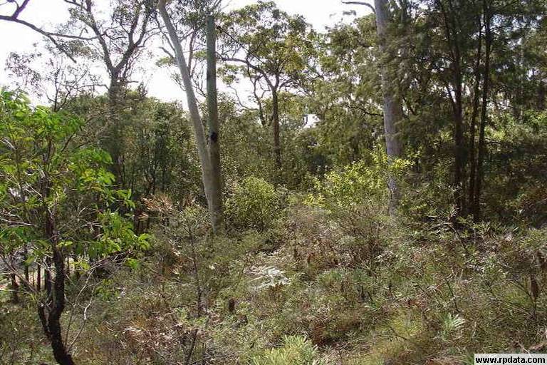 Let your imagination run wild!!! Picture 3