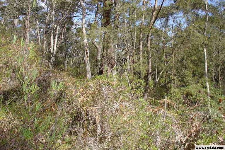 Let your imagination run wild!!! Picture 2