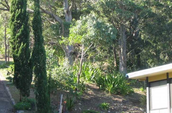 Spectacular Block of LAND Picture 3