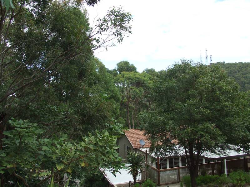 Spectacular Block of LAND Picture 1